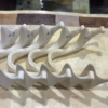Dental Mandible Models - Choose Your Density (Copy)